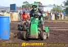 Moorbockcross 2019